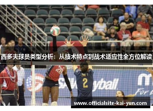 西多夫球员类型分析：从技术特点到战术适应性全方位解读